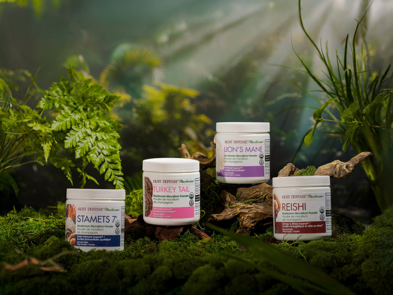 Mushroom Powders