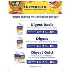 Enzymedica Panneau de chevalet digestif-Français-ea
