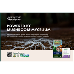 Alimenté par Mushroom Mycelium Endcap Header-Anglais-ea